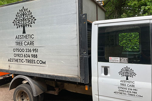 Aesthetic Tree Care van